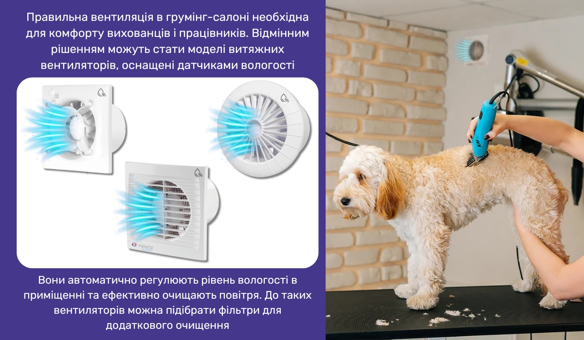 Вентиляція в грумінг-салоні запорука комфортних умов