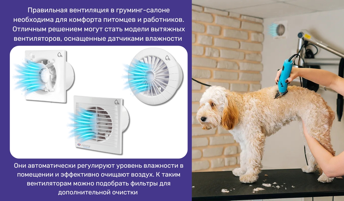 Вентиляция в груминг-салоне: залог комфортных условий