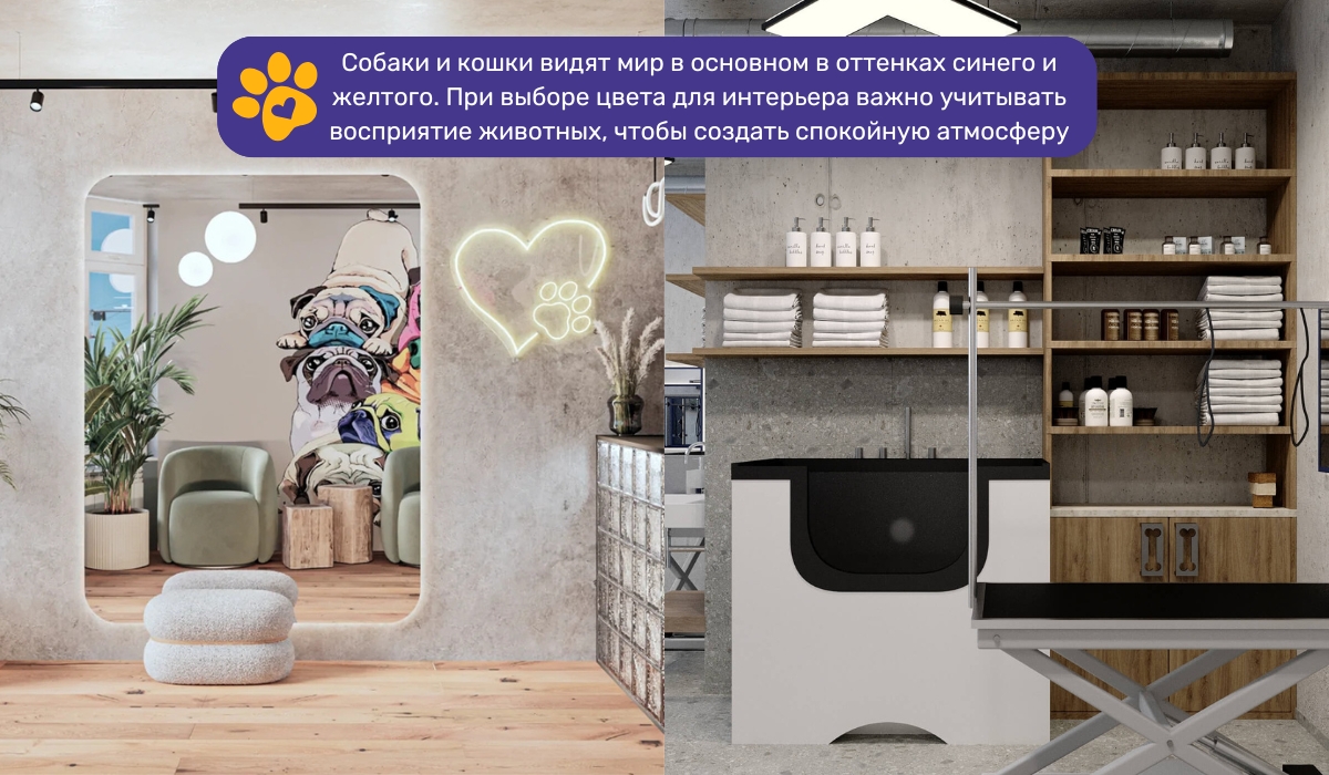 Дизайн помещения как важный аспект при ремонте груминг салона